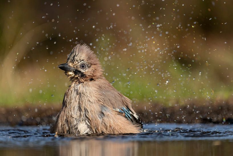 Jota von Esther Bakker-van Aalderen