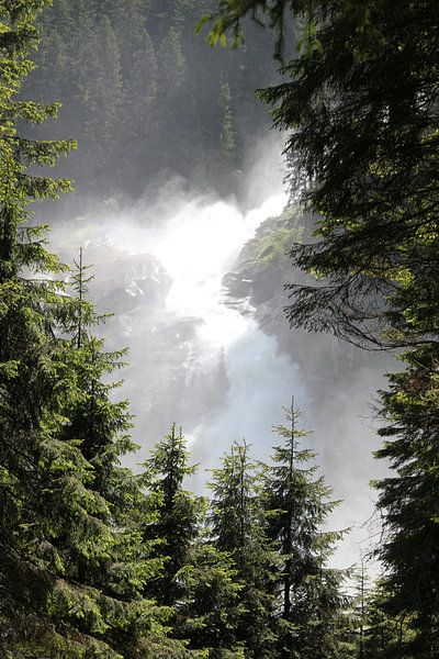 Natur in Österreich von Mirli Stadhouders