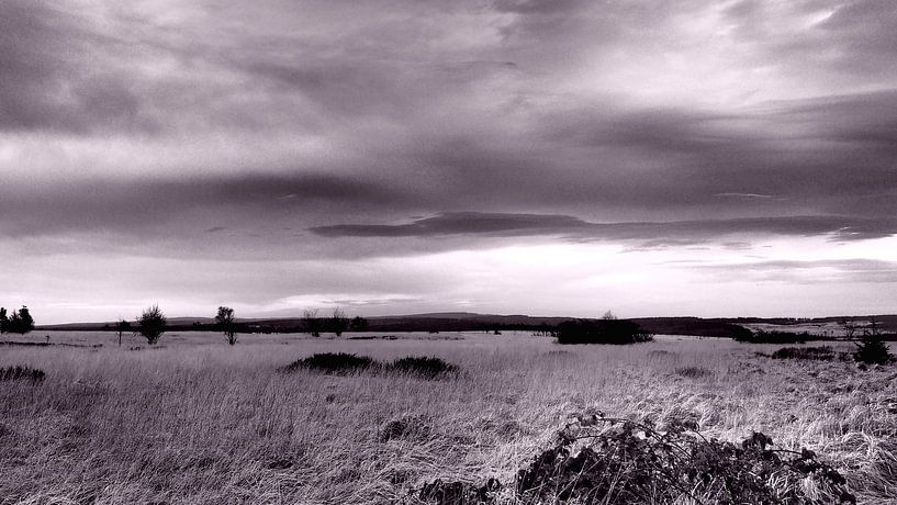 Countryside Hautes des Fagnes by Twan van G.