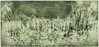 Terre de pré, gravure