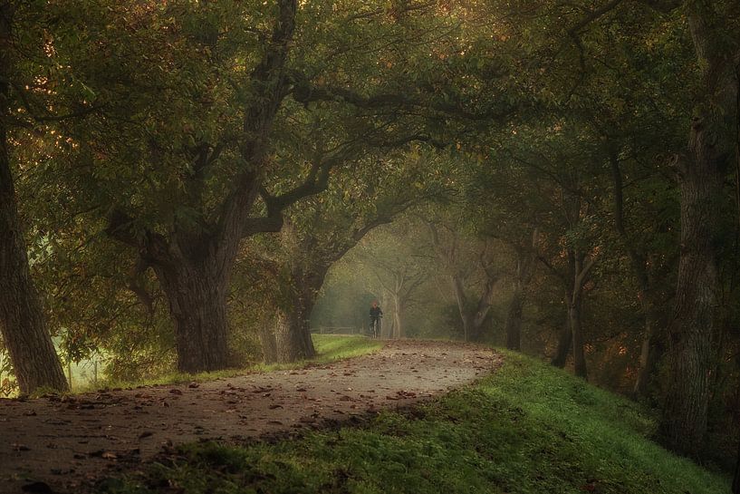 Cycliste sur le Marienwaerdt de Notendijk par Moetwil en van Dijk - Fotografie