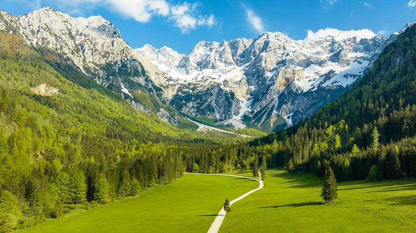 Vue aérienne de la vallée de Zgornje Jezersko au printemps par Sjoerd van der Wal Photographie