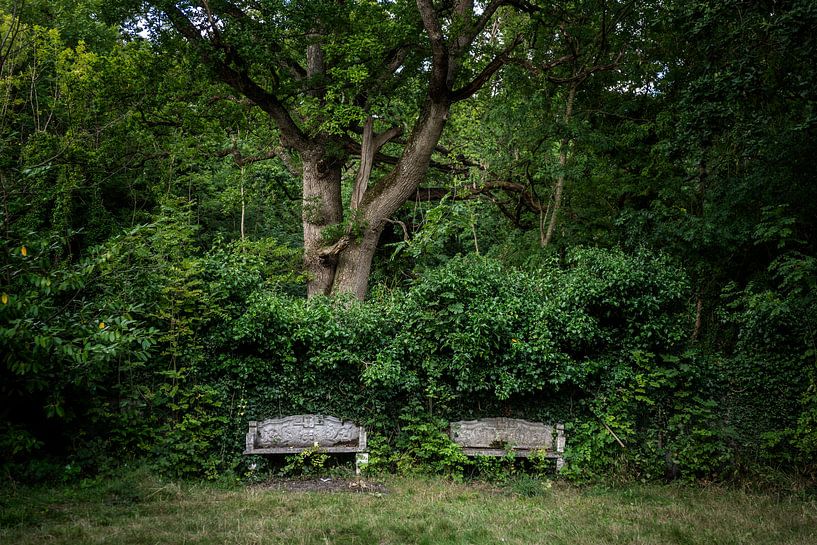 Bänke im Park von Bo Scheeringa Photography