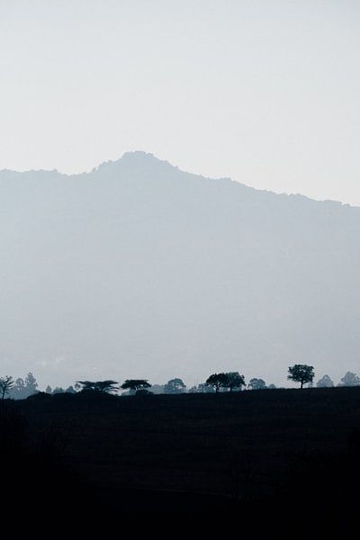 Landschaft in eSwatini, Swasiland, während der blauen Stunde von Suzanne Spijkers