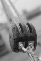 die stärkste Verbindung