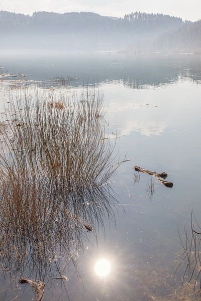 Stiller Edersee in the morning by Christian Müringer