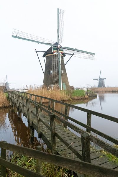Le moulin de Kinderdijk dans le brouillard par Merijn Loch