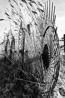 Ameland in Schwarz und Weiß