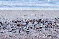 Wenn das Meer das Ufer küsste