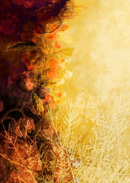 LES BELLES FLEURS EMBALLENT UN CHAMP JAUNE Iv3 par Pia Schneider