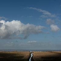 Salt marsh in northern Groningen (square version)