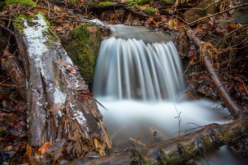 Rivière de forêt sauvage par Sergej Nickel