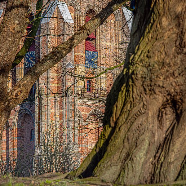 La Oldehove de Leeuwarden entre les arbres par Harrie Muis