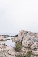 Mer Adriatique Île de Lokrum Croatie