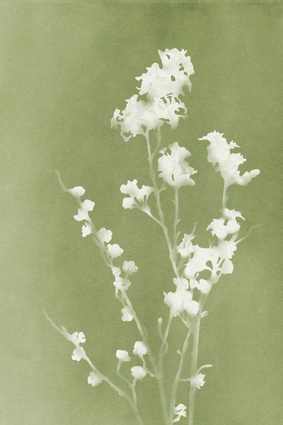 Monograph Green Flowers by amini54 