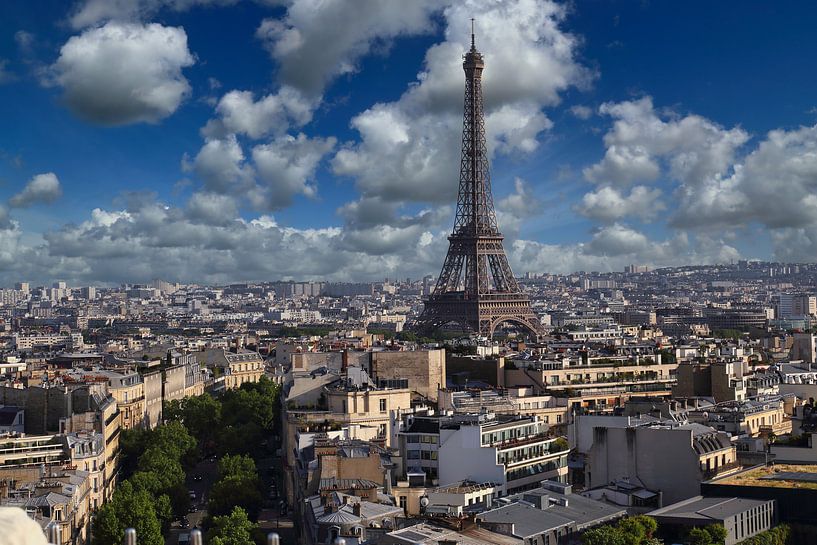 Cityscape of tree-lined boulevards and the Eifel Tower in Paris, France, seen from the top of the Ar by Jan Kranendonk