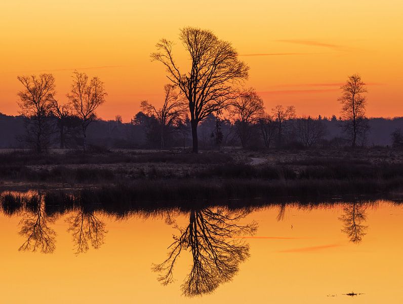 Lever de soleil Dwingelderveld - Drenthe (Pays-Bas) par Marcel Kerdijk