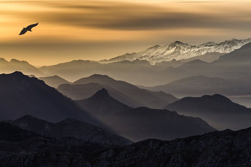 Couches par Juan I. Cuadrado