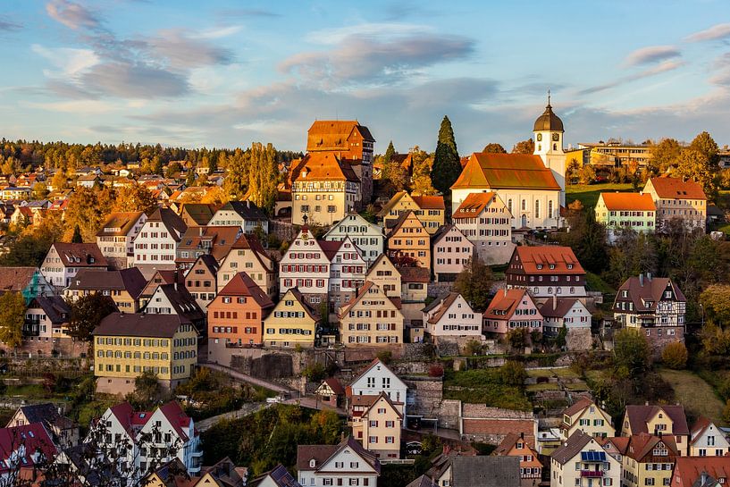 Historische Altstadt von Altensteig im Schwarzwald von Werner Dieterich