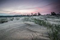 Zonsopkomst bij een zandverstuiving