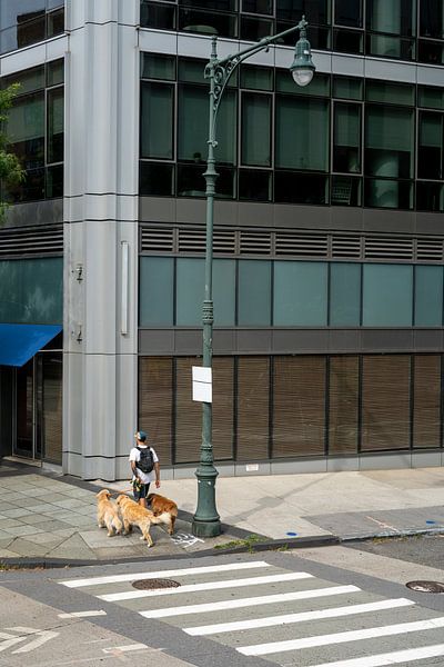 Promenade dans les rues de New York par MANON BEERNINK
