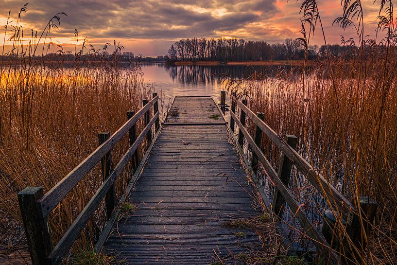 Steg im Schilf von peterheinspictures