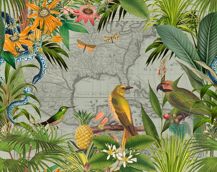 Nostalgic trip by Andrea Haase