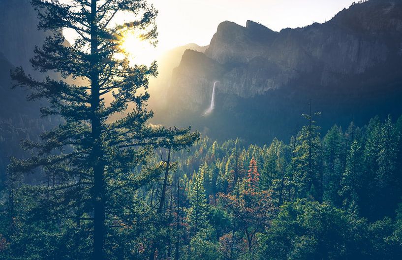 Lumière du matin par Loris Photography