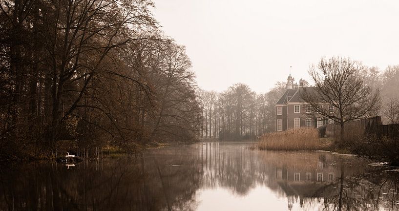 Un cygne sur le nid à Huize Den Berg à Dalfsen par Marloes ten Brinke