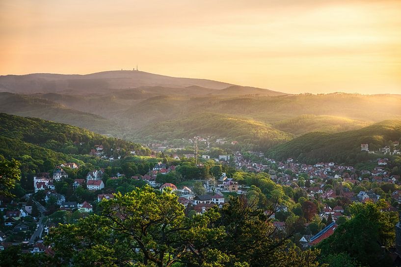 Harzlandschaft Wernigerode von Oliver Henze