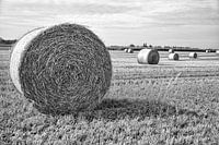 Hooirollen landschap in Denemarken (zwartwit)
