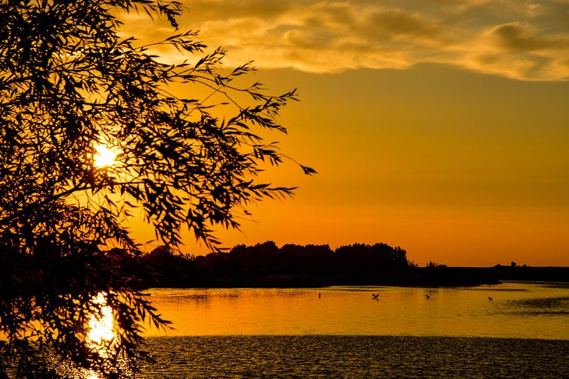 Dutch Sunset by Jaco Verheul