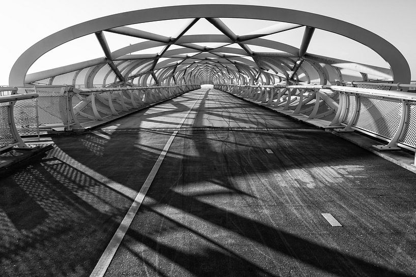 Fahrradbrücke &quot;die grüne Verbindung&quot; von Renate Oskam