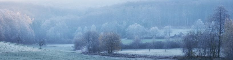 Panorama - Landscape in cold November by Tobias Luxberg