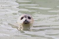 Kijk mij eens lief zijn