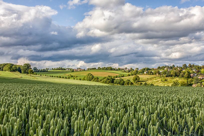 Uitzicht op De Huls by John Kreukniet