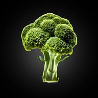 Broccoli on black background