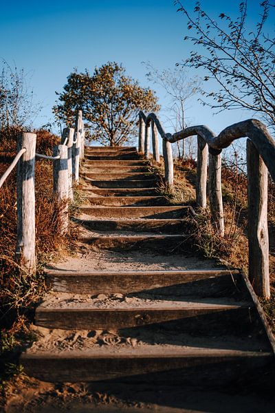 Stappen op het wandelpad langs de Teufelsmauer in de Harz. van Katrin Friedl Fotografie