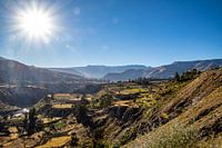 Canyon de Colca, Pérou