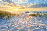 Beach at sunset with dunes