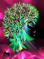 Magic Tree of Love Tree of Life