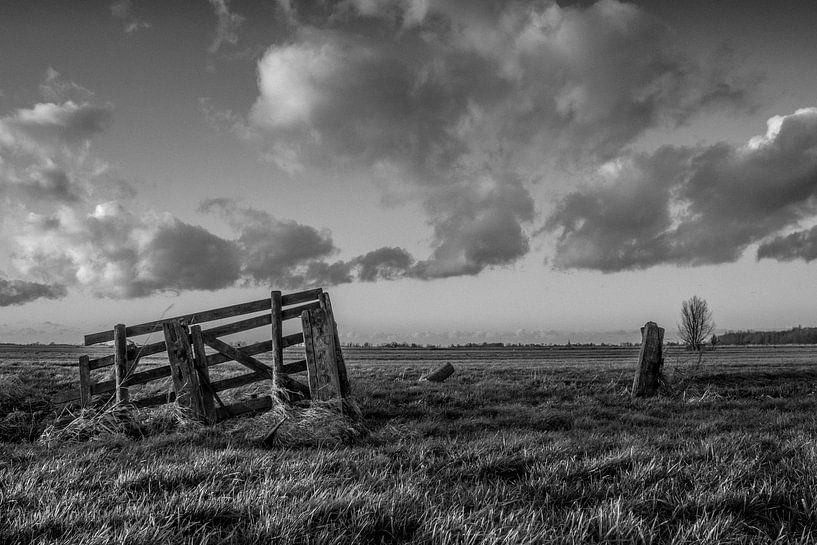 Sunset at polderscape Black &amp; White by André Hamerpagt