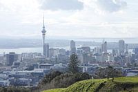 Auckland Skyline