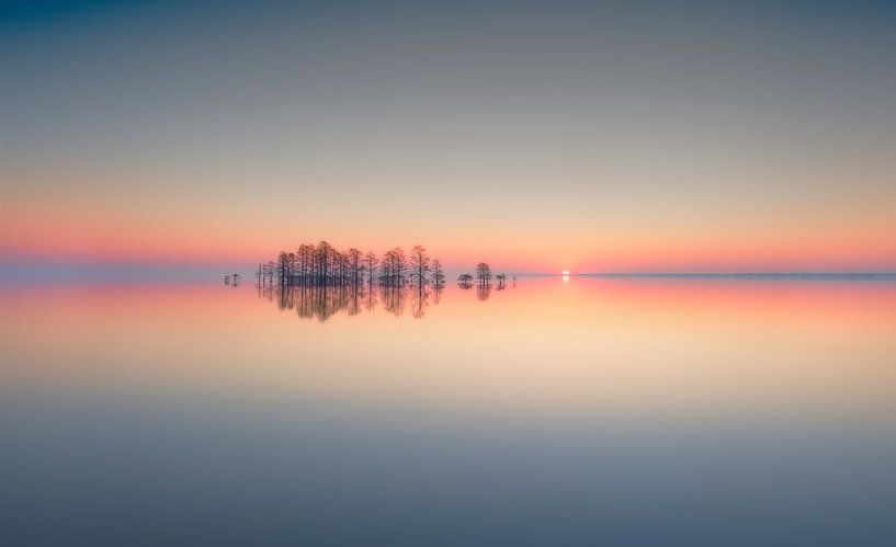 Mémoire du lac Mattamuskeet par Liyun Yu