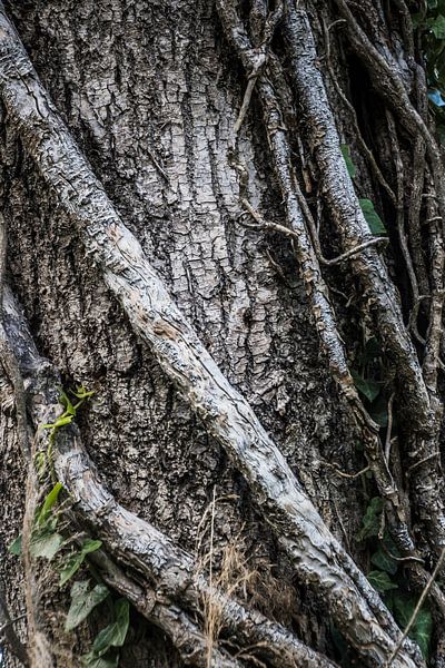 Hold On by Marianne Rouwendal