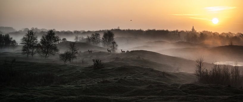 Lever du soleil par David Lawalata