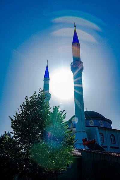 blue cami by Roland's Foto's