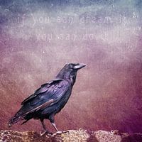 The spirit of the raven