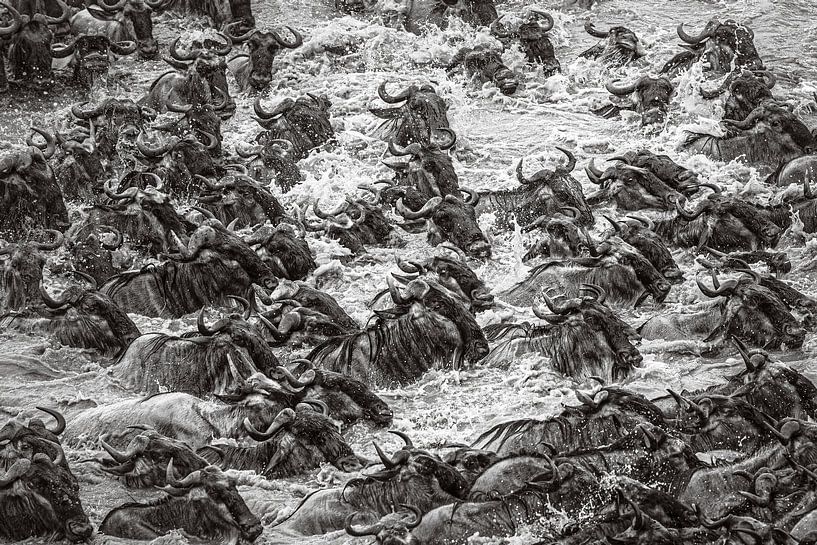 Die große Überfahrt von jowan iven