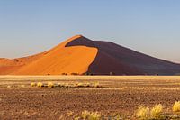 Dodevlei_8, Sesriem, Namibie